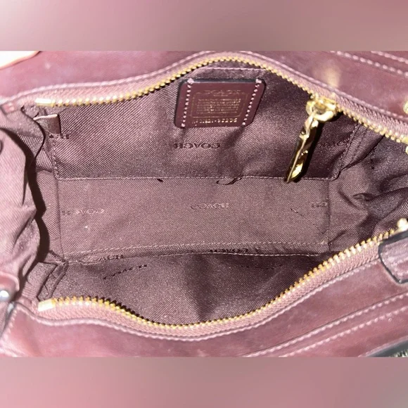 Coach Swagger Mini - Picture 12 of 15